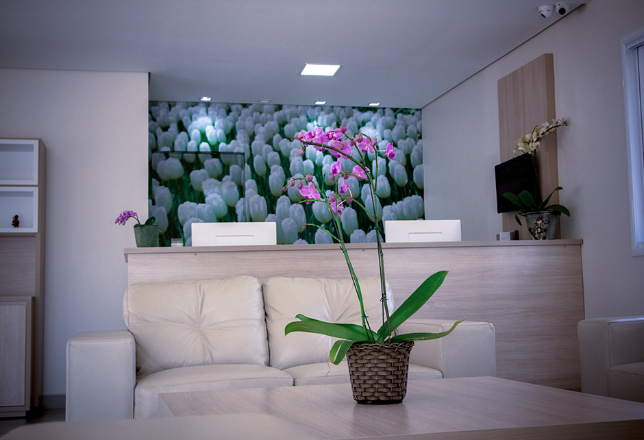 Villa de Holanda Parque Hotel